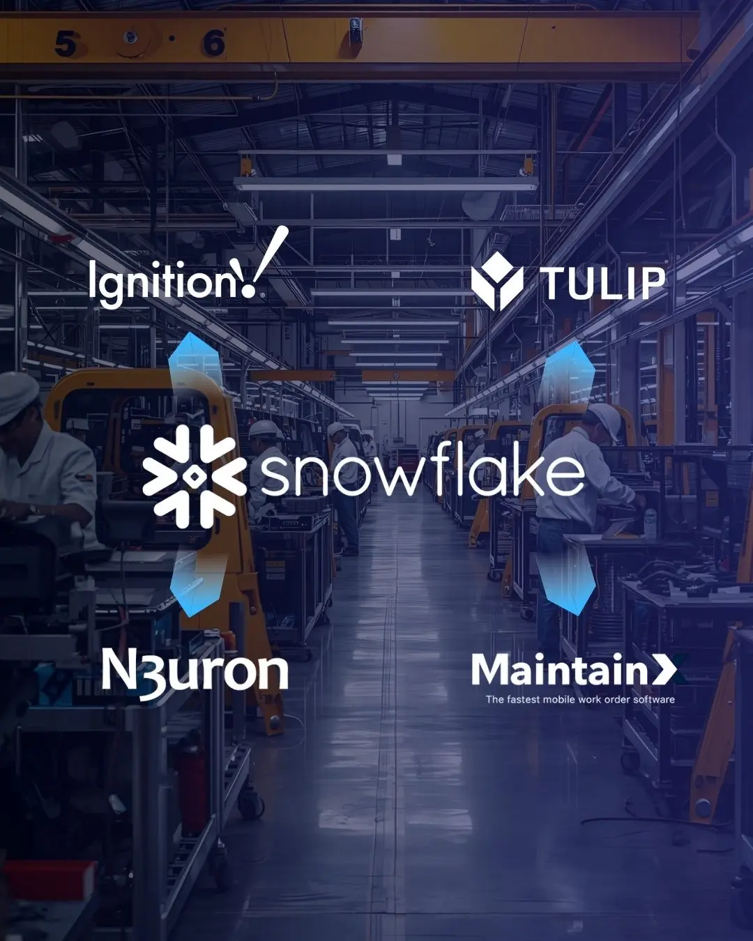 snowfalke กับ ignition tulip n3uron maintainx 