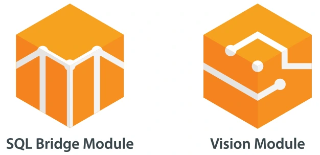 SQL Bridge Module and the Vision Module.